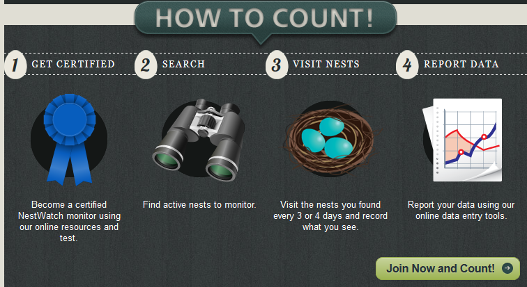 Nestwatch_howto